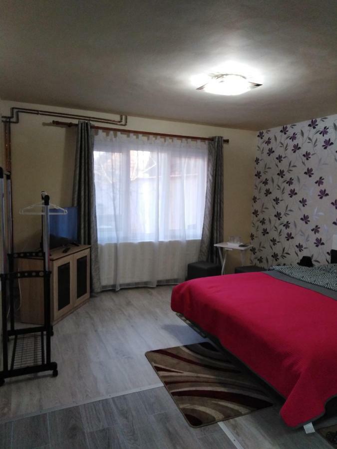 Casa Cu Butoi Hotel Szováta Kültér fotó